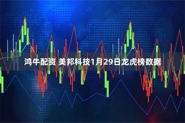 鸿牛配资 美邦科技1月29日龙虎榜数据