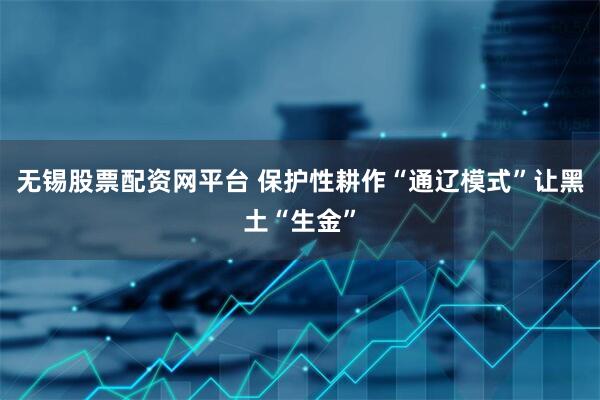 无锡股票配资网平台 保护性耕作“通辽模式”让黑土“生金”
